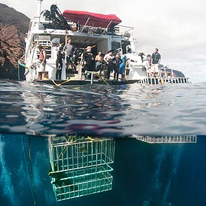 The Nautilus Explorer and shark cages off the coast of Guadalupe Island