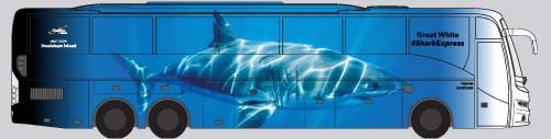 Shredder, the fastest way to Guadalupe Island Great White Sharks